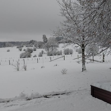 Willa Abri De Jardin Vielsalm Zewnętrze zdjęcie