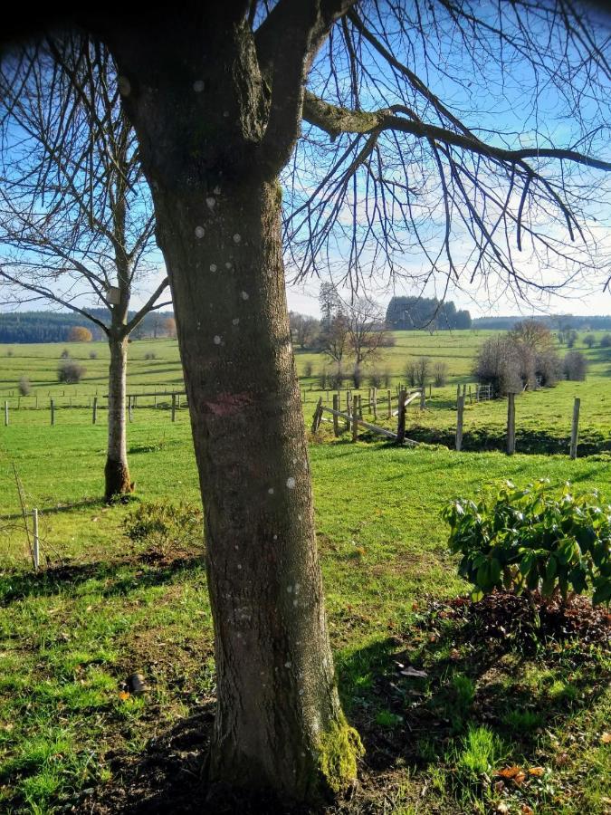 Willa Abri De Jardin Vielsalm Zewnętrze zdjęcie
