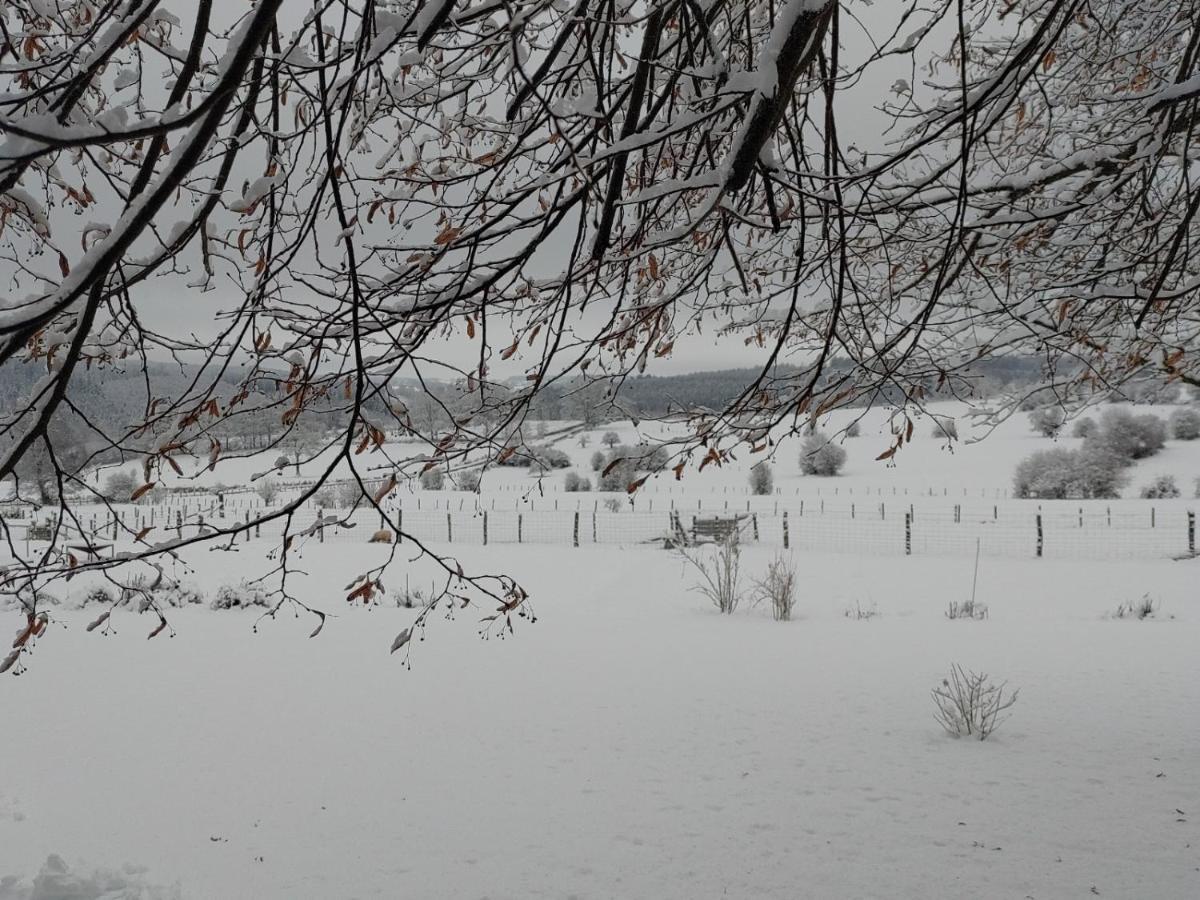 Willa Abri De Jardin Vielsalm Zewnętrze zdjęcie